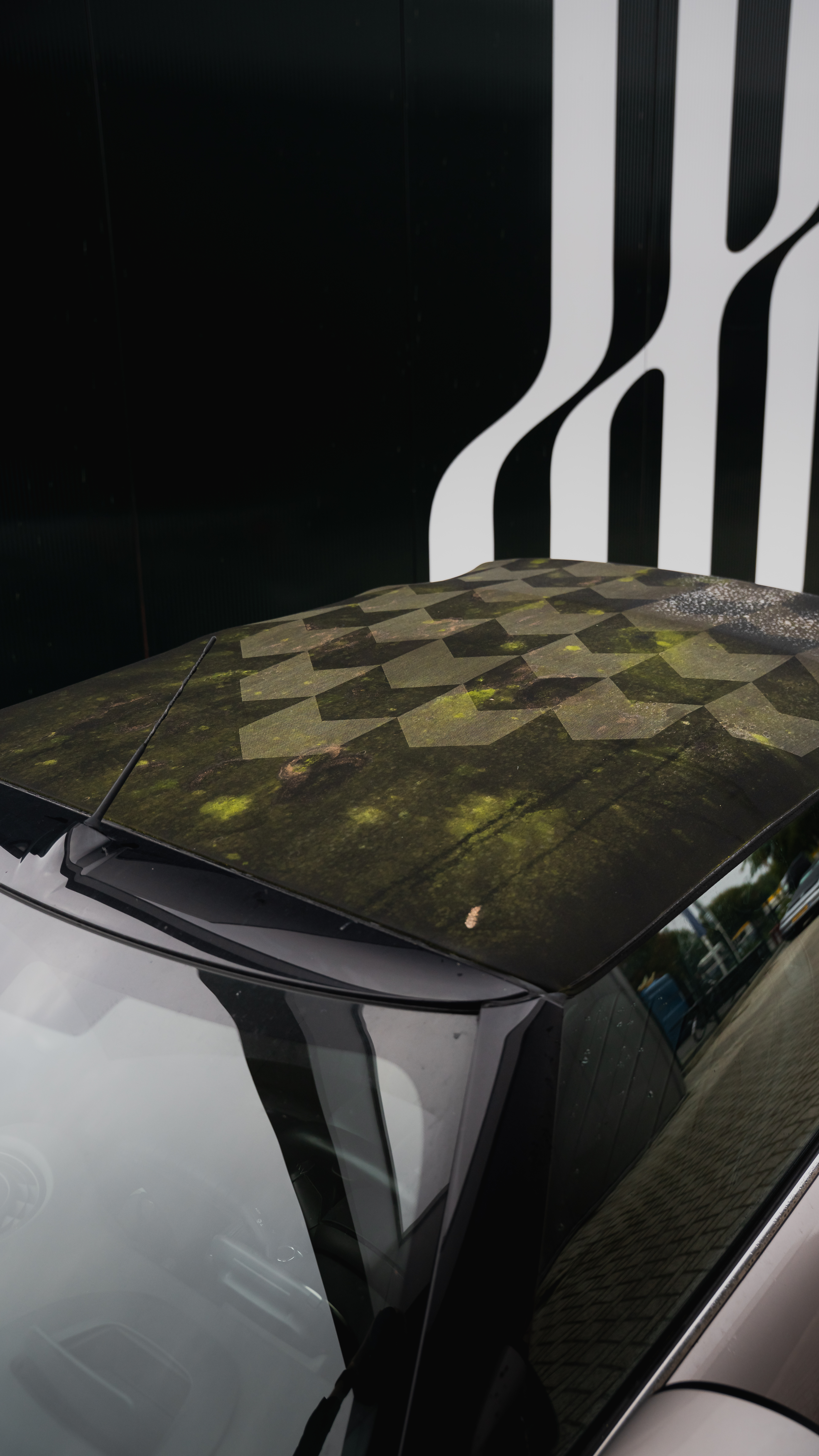 Cabrio kap reinigen & beschermen